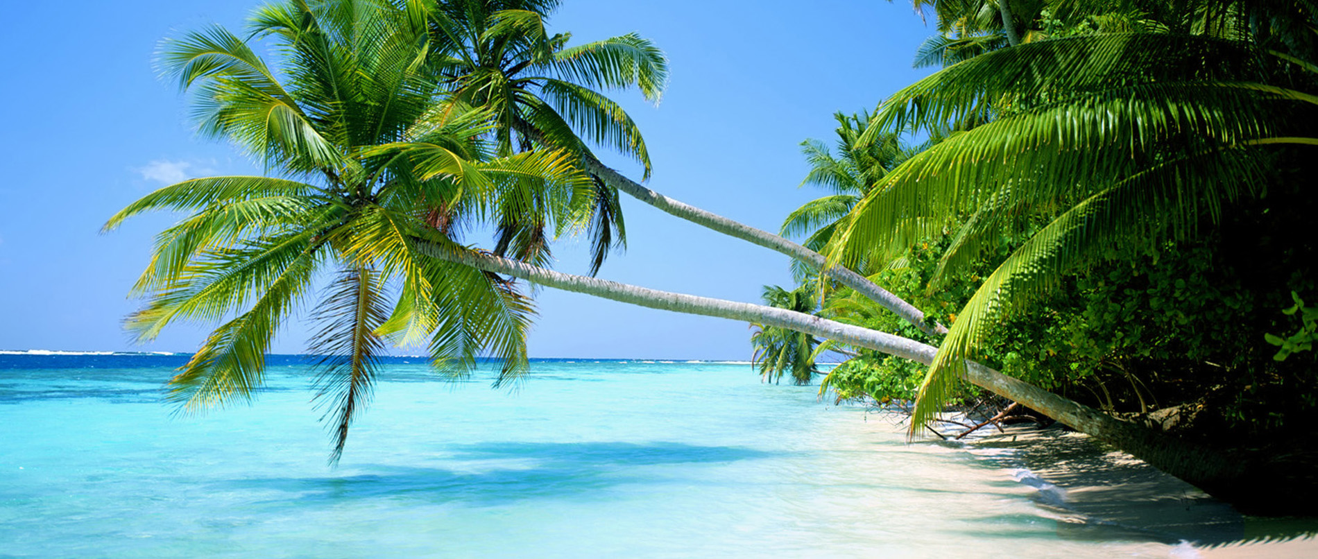 West Coast Florida Attractions Gulf West Coast Florida Attractions