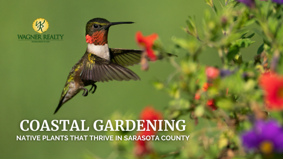 Coastal Gardening: Native Plants That Thrive in Sarasota County Image
