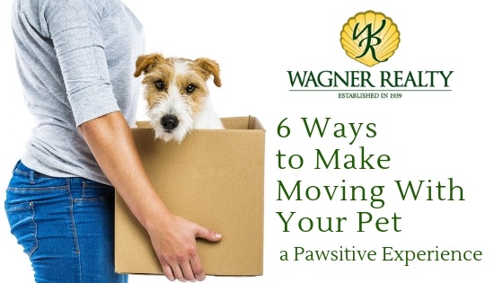 6 Tips for Moving with Your Pet